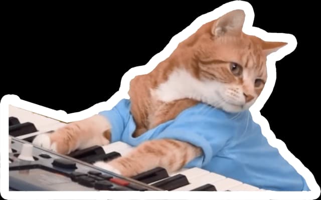 Keyboard Cat performing
